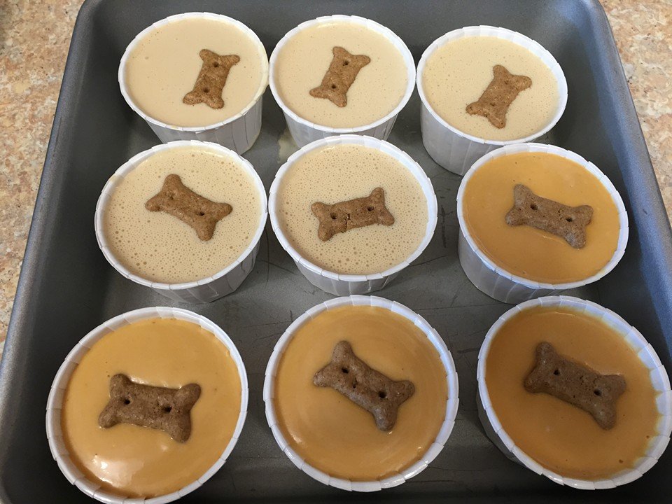 Homemade Frozen Pumpkin Yogurt Dog Treats Recipes