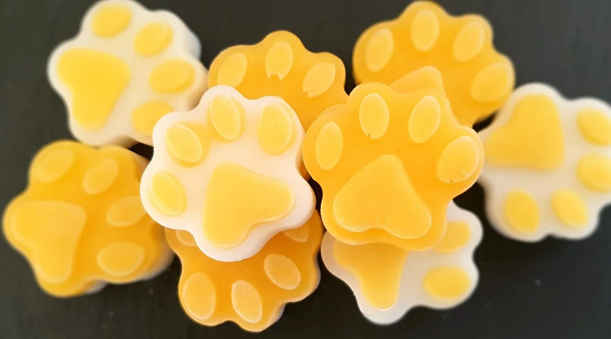 2-Ingredient Mango & Coconut Frozen Dog Treats Recipes