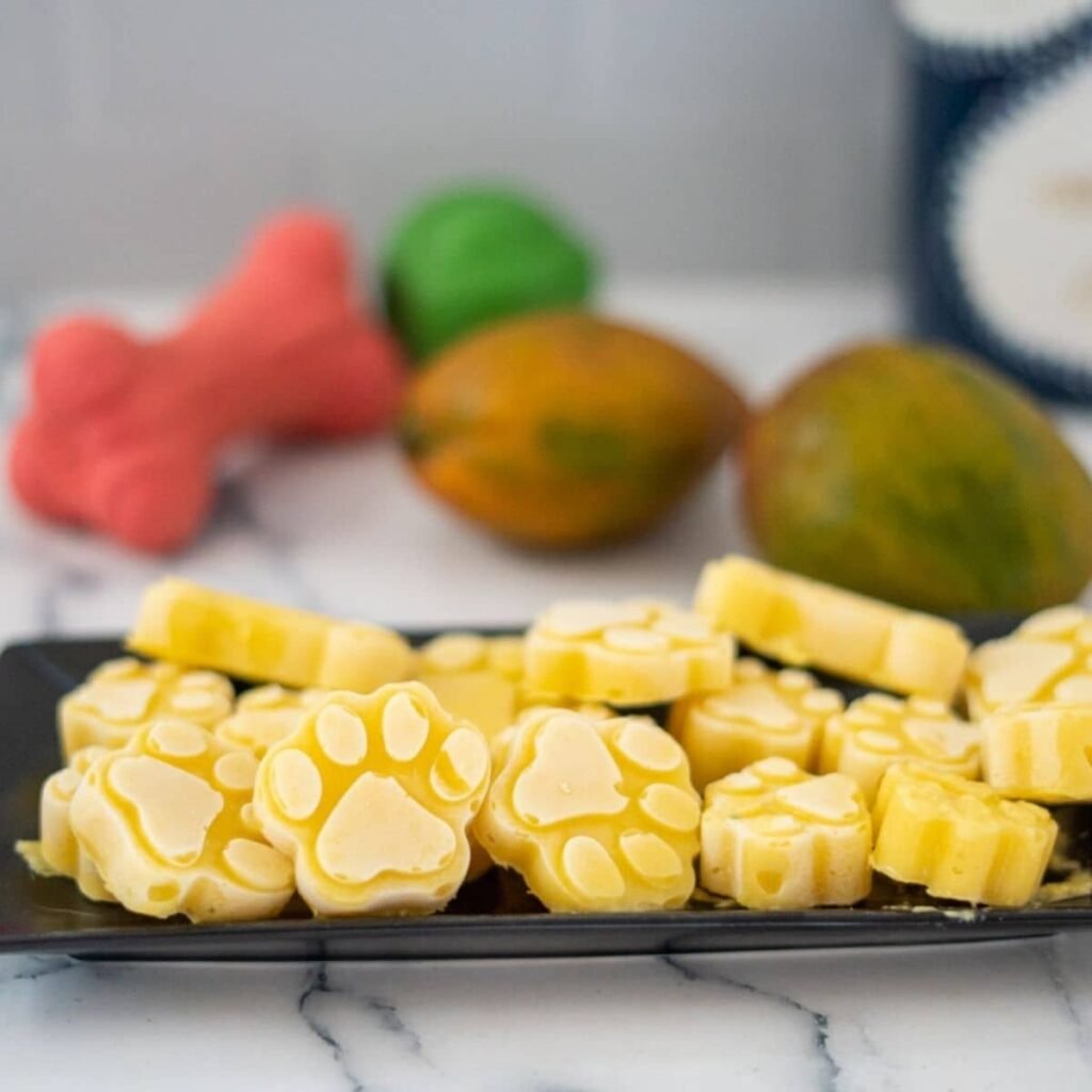 How to Make 2-Ingredient Mango & Coconut Frozen Dog Treats Recipes